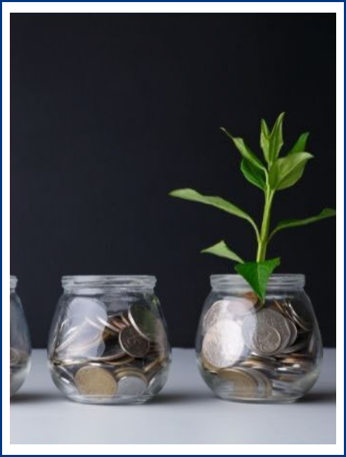 După optimizare — creștere susținută, ca o investiție care înflorește
